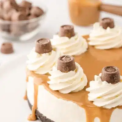 Rolo No-Bake Cheesecake